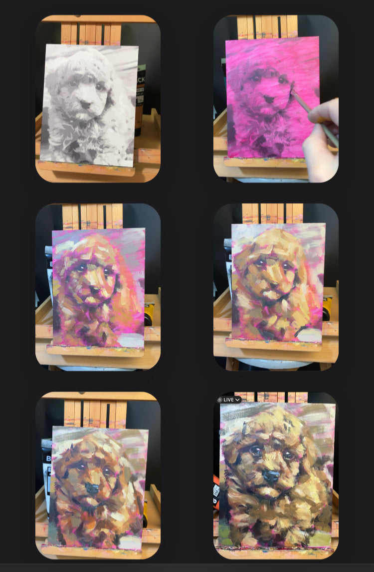Pet Portrait Workshop, Wednesday, August 13: 6pm-8pm